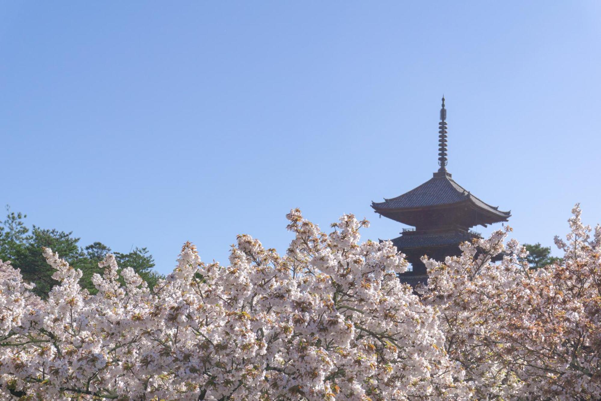Tokyu Stay Kyoto Sanjo-Karasuma Zewnętrze zdjęcie