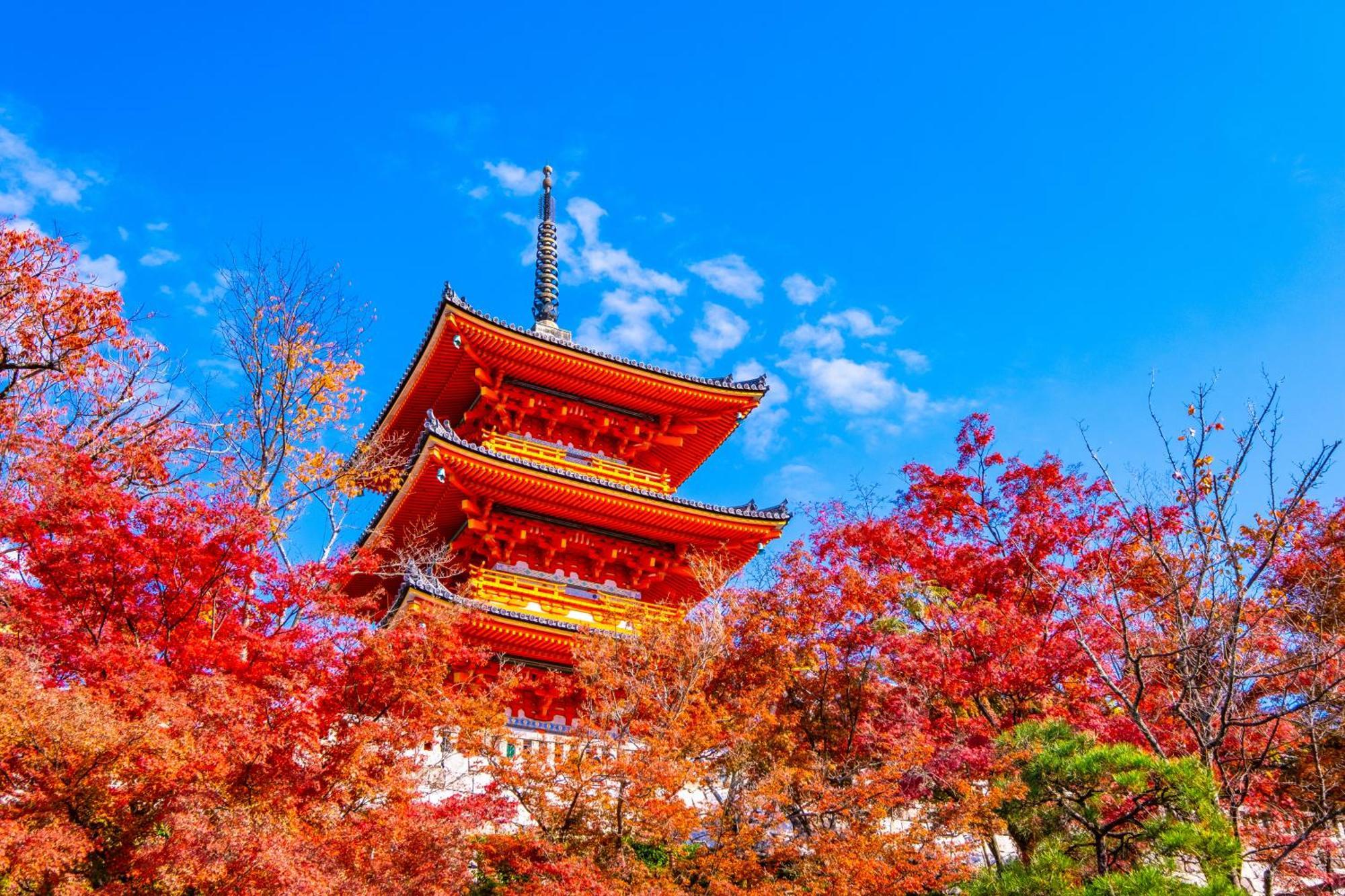 Tokyu Stay Kyoto Sanjo-Karasuma Zewnętrze zdjęcie