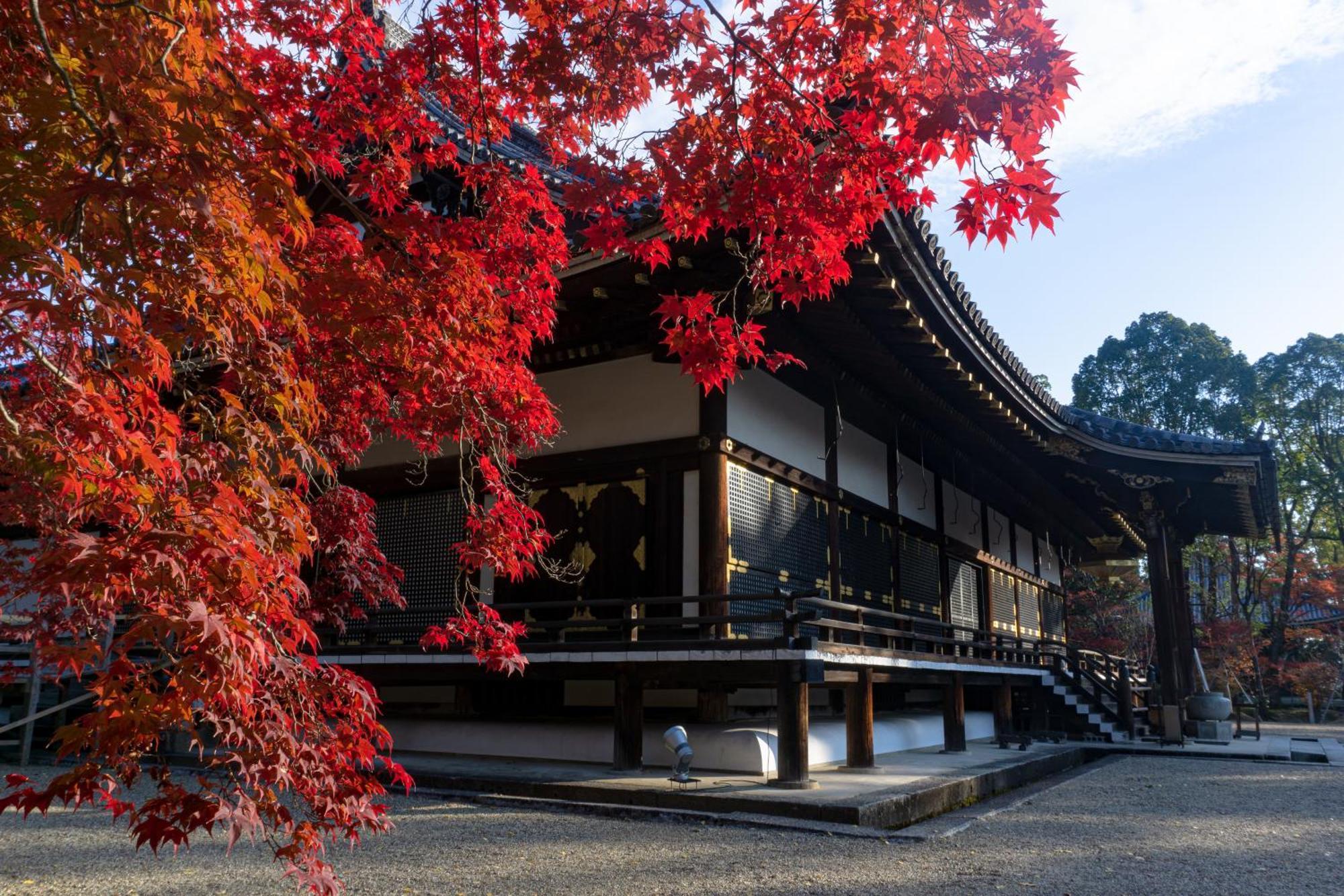Tokyu Stay Kyoto Sanjo-Karasuma Zewnętrze zdjęcie