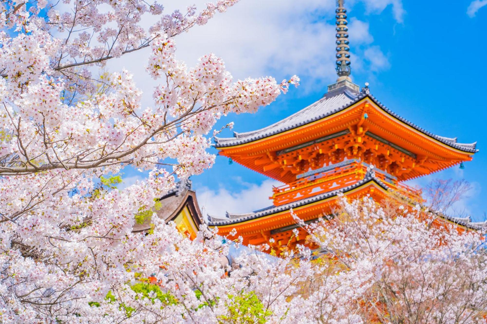 Tokyu Stay Kyoto Sanjo-Karasuma Zewnętrze zdjęcie