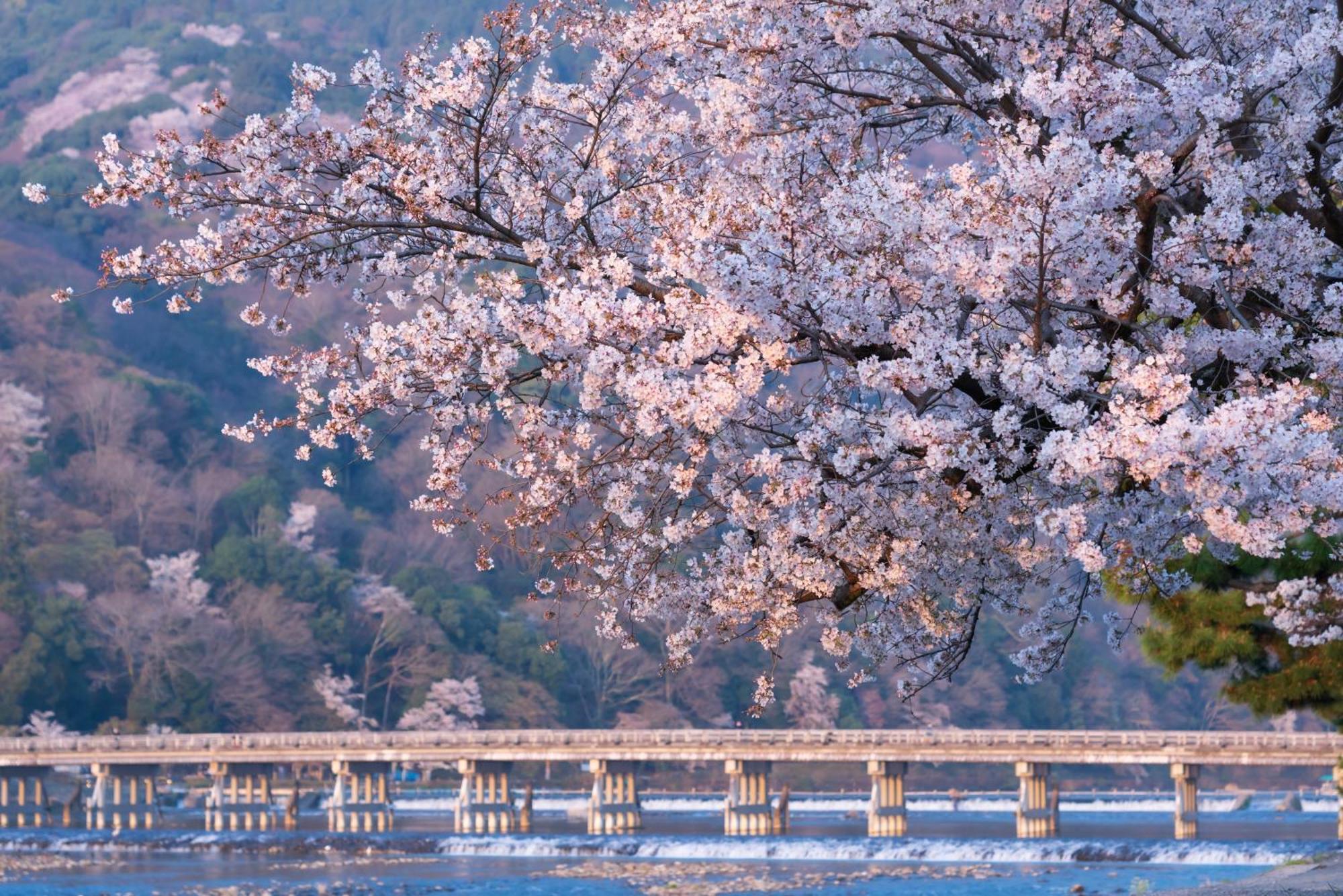 Tokyu Stay Kyoto Sanjo-Karasuma Zewnętrze zdjęcie