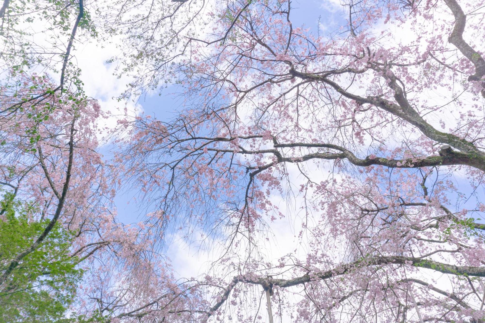 Tokyu Stay Kyoto Sanjo-Karasuma Zewnętrze zdjęcie