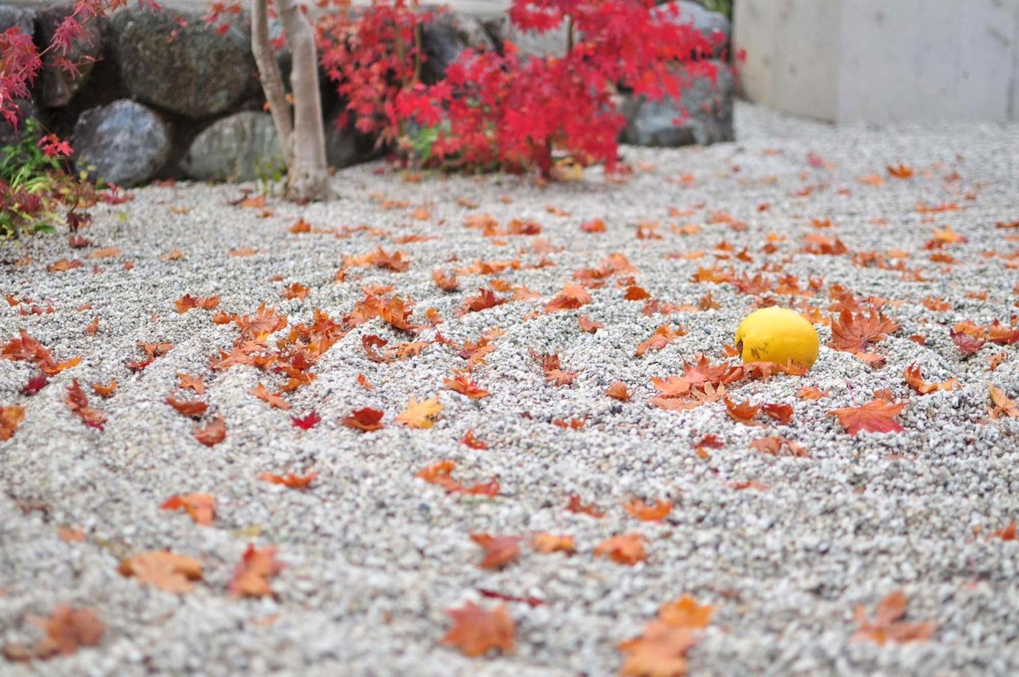 Tokyu Stay Kyoto Sanjo-Karasuma Zewnętrze zdjęcie