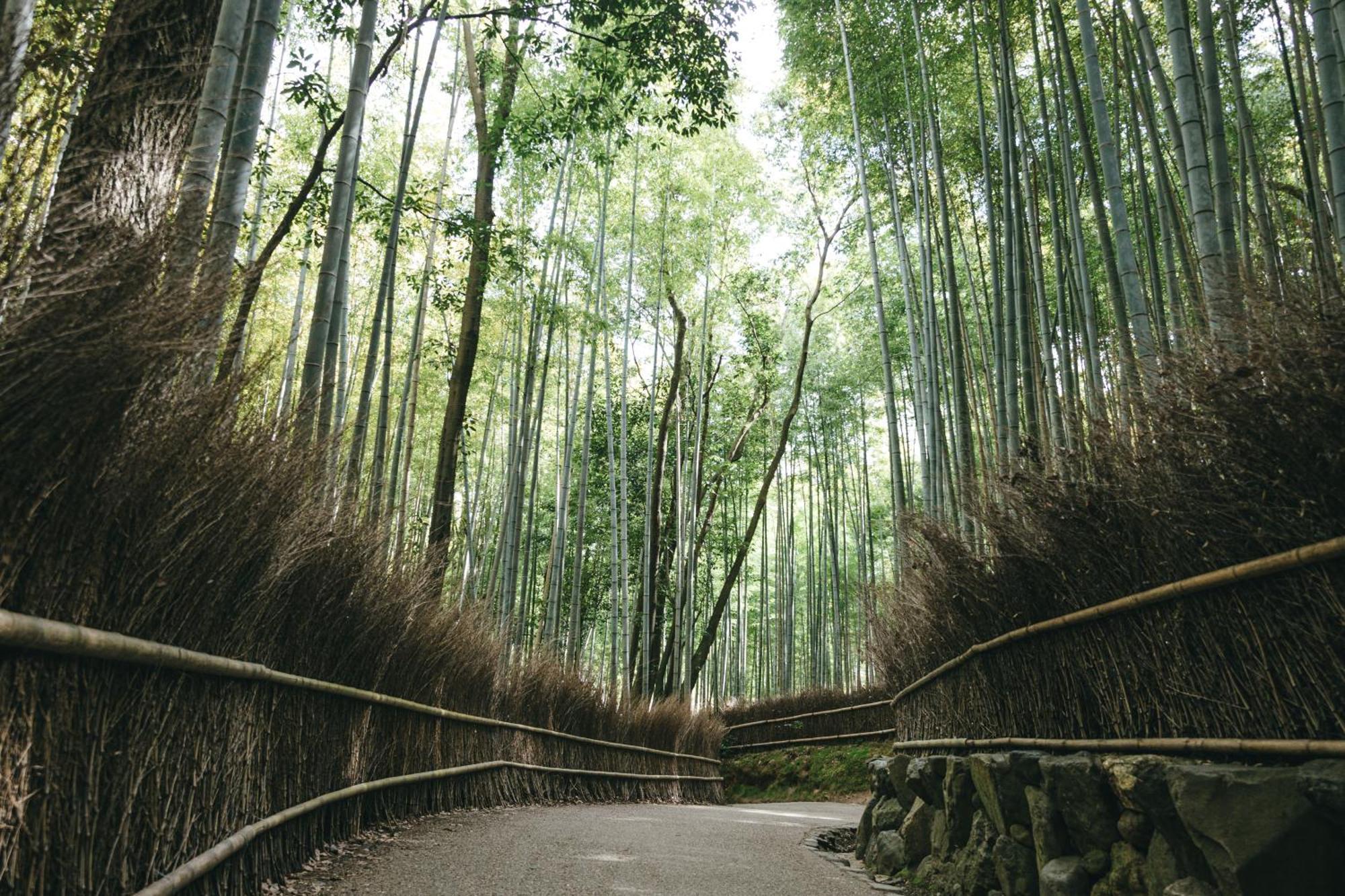 Tokyu Stay Kyoto Sanjo-Karasuma Zewnętrze zdjęcie